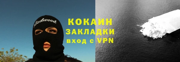 apvp Алексин