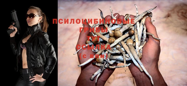 прущий лед Алзамай